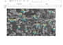 calculate and analyze your nanoparticle from xrd, ftir, SEM, and tem data