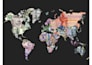 provide expert assistance in geography research