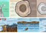 create educational infographic illustrations