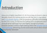 make proffesional presentation for student and entrepreneurs