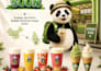 create marketing brochure design