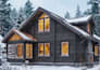 do architectural modeling with rhino, archicad, sketchup