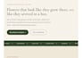 soluciones de paginas web