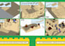 design a custom lego model of any building or object