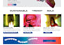 create professional marketing materials for your business