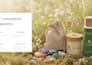 design a premium UX UI shopify store for your brand
