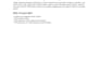 write SEO blog posts and website articles