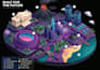 create isometric event map, vector 3d festival and venue map