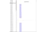 format your book through kindle, convert to PDF, epub, mobi