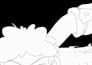 do 2d animations from rough to cleanup and colors