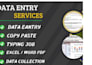 do accurate data entry, excel, word, urdu english typing