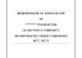 provide service of incorporation with drafting and consulting and for inc20a