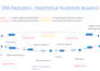 design genetics and molecular biology powerpoint presentation