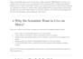 do professional essay writing and research content