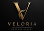 create modern ve minimal logo
