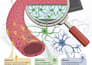 create premium scientific visuals for biotech and research teams