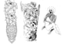 do tattoo stencil from picture