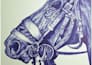 create highly detailed ballpoint pen potraits