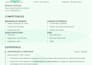 write, optimize and revamp your professional resume and CV