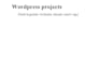 design redesign wordpress website, website development as a full stack developer