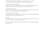 write SEO blog articles and website content