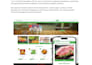 develop and customize nopcommerce