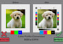 fix convert prepress and make your file print ready with bleed cmyk