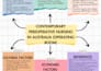 do professional and academic research reports