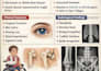 create printable medical flashcards and study summaries