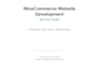 build a custom woocommerce ecommerce website