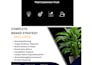 create a complete brand strategy