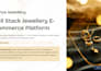 develop a professional business website