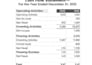 prepare financial reports and cash flows