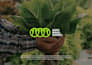 design logo, branding kit, and brand identity