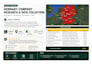 do accurate data entry, copy paste, web scraping, pdf to excel