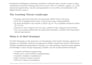 perform ai security audit and red team testing