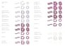 create custom fashion brushes for adobe illustrator