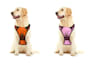 create amazon listing images and infographics