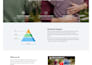 design, redesign, and develop a professional website as a full stack developer