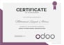 implement configure and customize odoo erp for your business