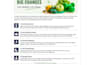 high quality SEO content writing