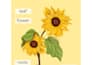 design custom kids tracing and educational worksheets