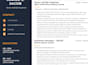 redesign your resume into a modern professional CV