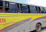 create professional bus video for you