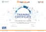 design, develop a responsive websites