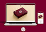build wordpress website, wordpress ecommerce website, or wordpress landing page