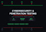 perform penetration testing and security audits