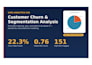 analyze customer data and identify churn risk and segments