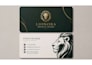 design a professional modern business card