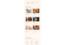 produce you a website with my quality web design and website development skills